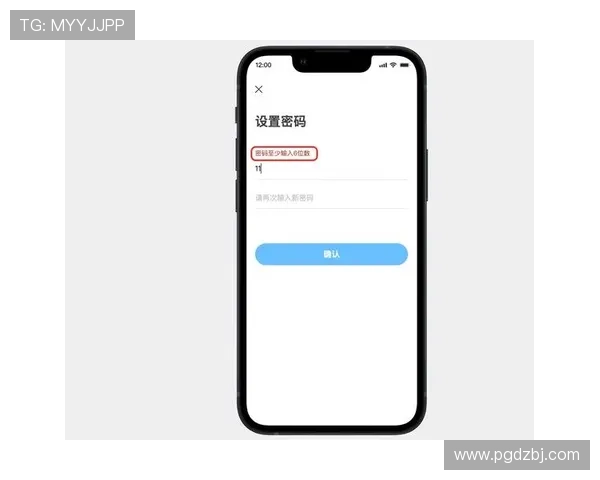 PG电子官网在线登录页面优化指南，提升用户体验和登录成功率的实用建议